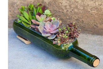 Plant Nite: Wine Bottle Succulent Planter